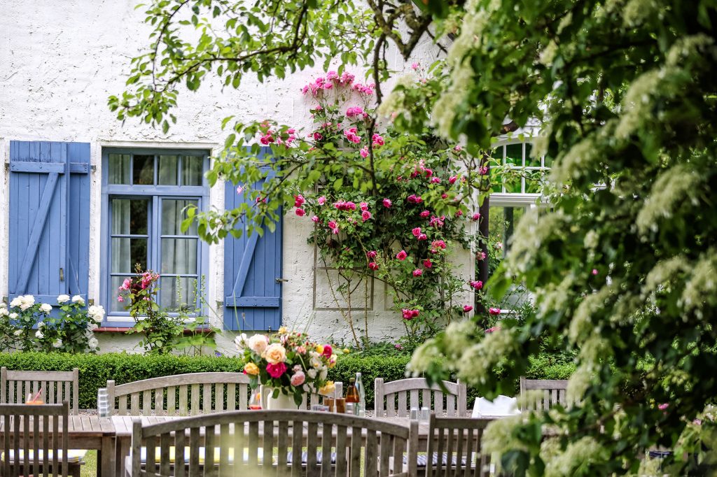 Gartenansicht des Ferienhauses Atelier auf Rügen
